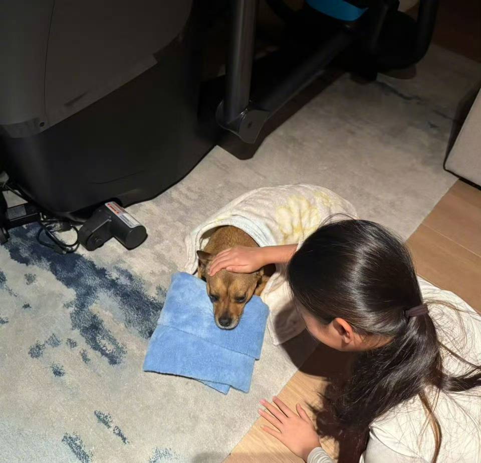 孙俪晒11岁女儿小花背影，和邓超复制粘贴，穿兄妹装撸狗超有爱(图2)