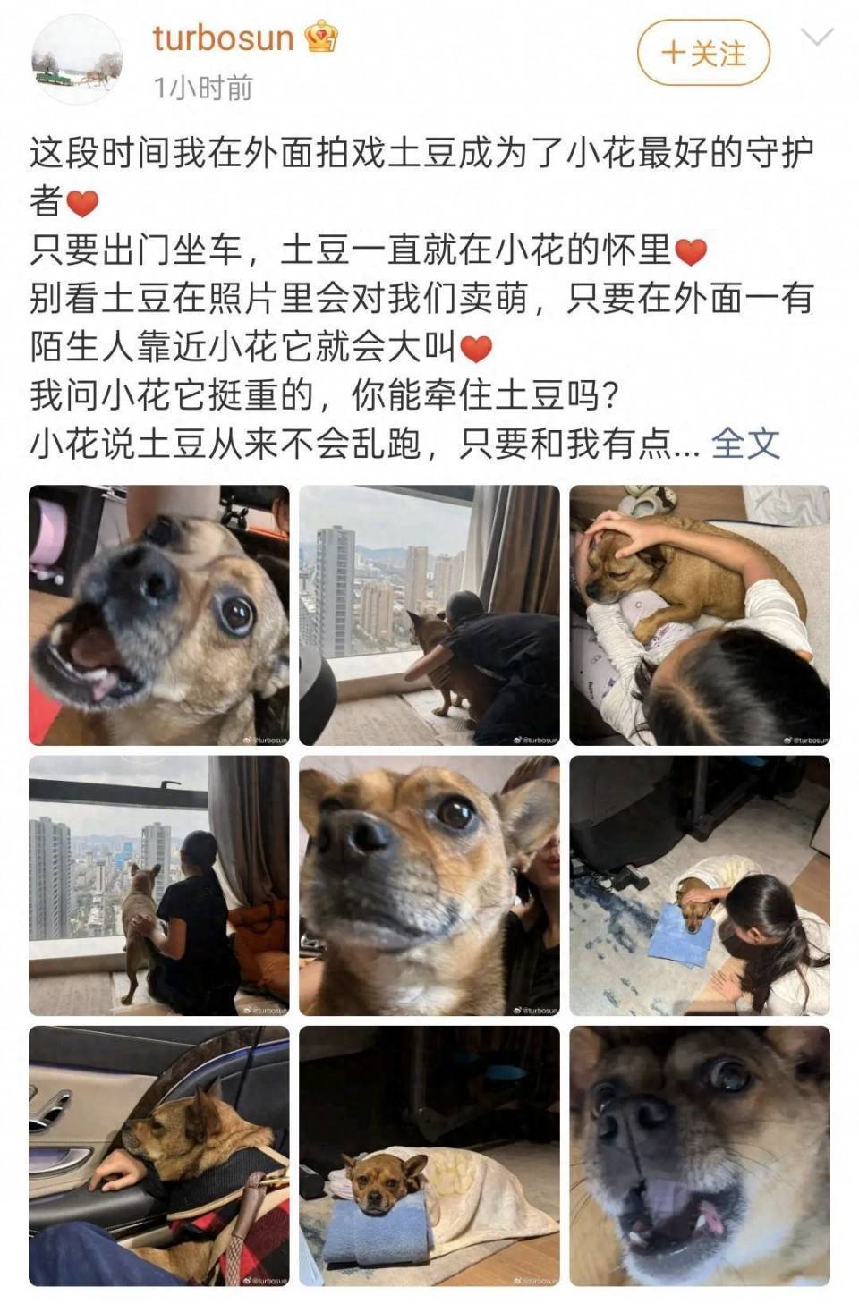 孙俪晒11岁女儿小花背影，和邓超复制粘贴，穿兄妹装撸狗超有爱(图3)