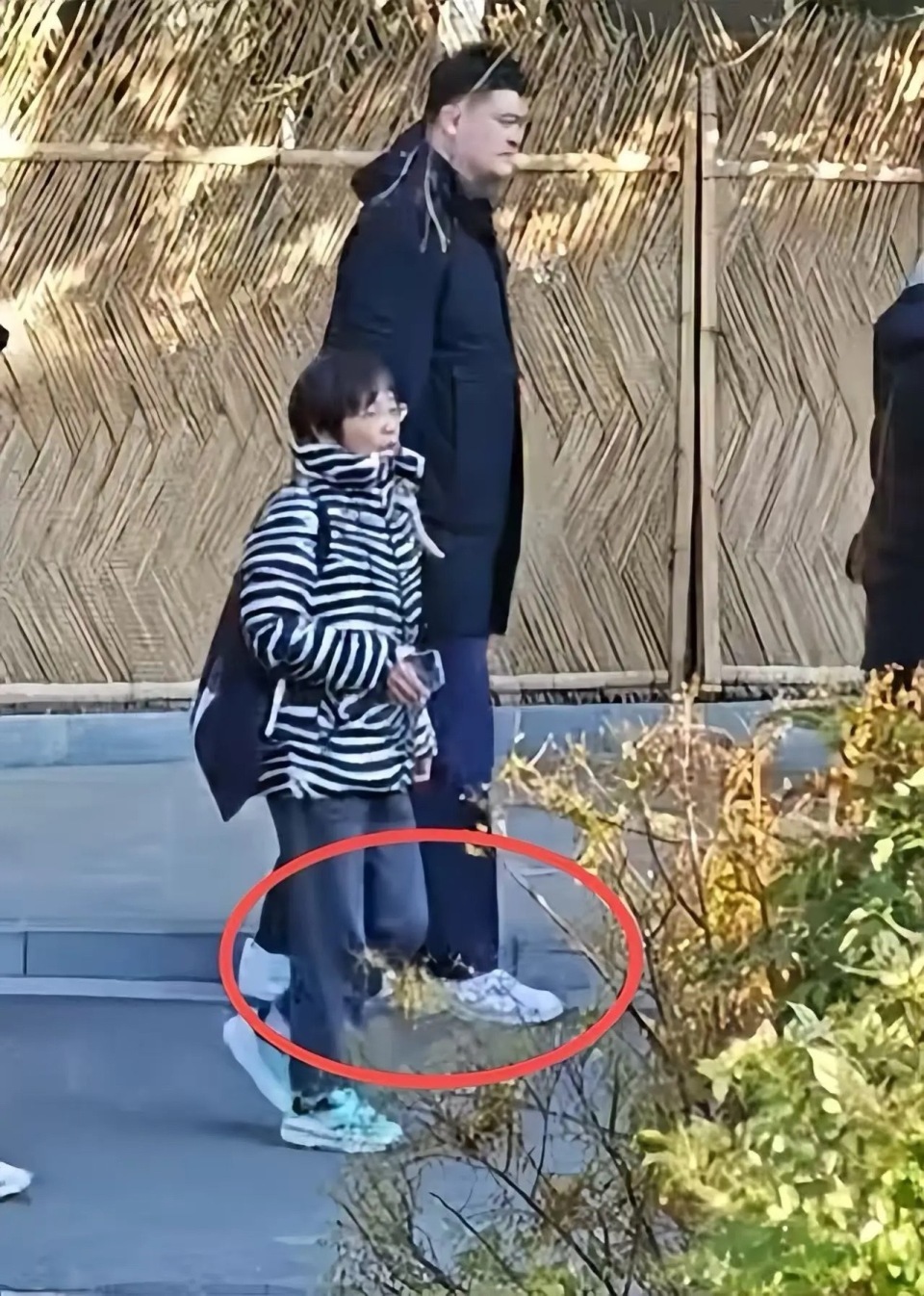 姚明陪父母上海探亲，穿一身黑衣又高又壮，目测体重得有400斤！(图9)