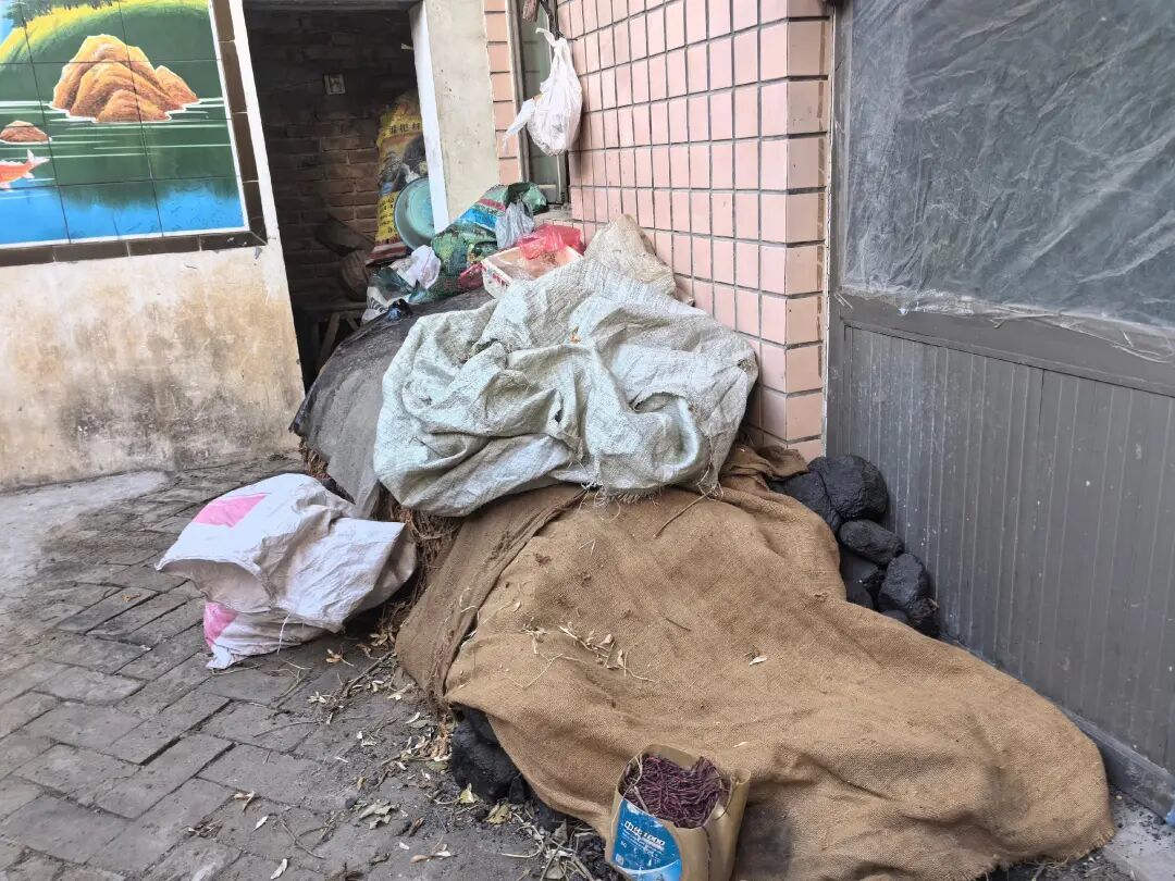 河北农民的这个冬天(图4)