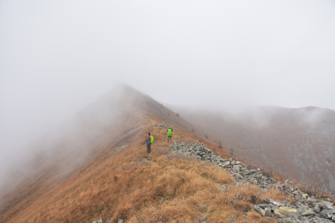连发多起死亡、失联事故，你以为的“诗和远方”，可能是在拿命试错(图7)