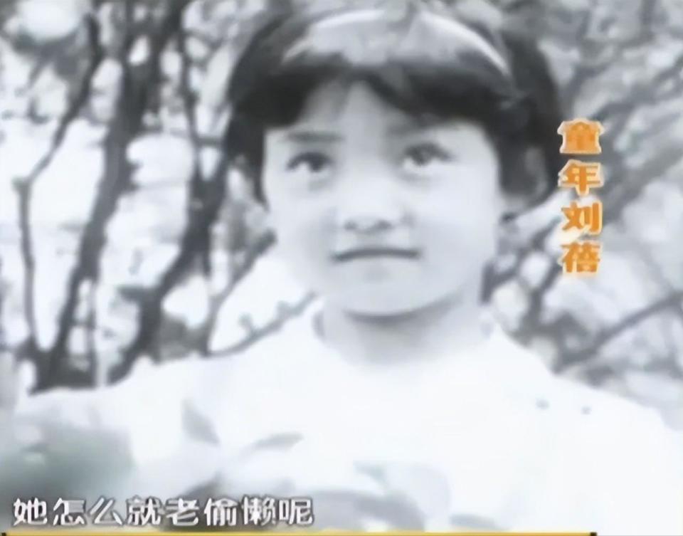 “初代冯女郎”刘蓓：天生大青衣，却频因感情影响事业？可惜了(图5)