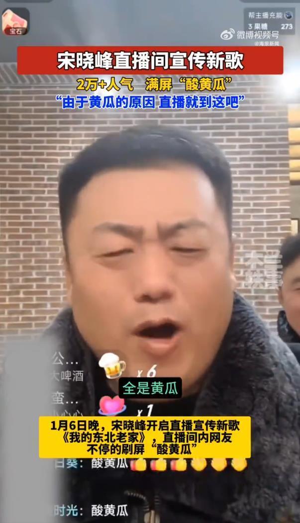闫学晶“酸黄瓜”言论引争议，宋晓峰直播间被刷屏中断直播(图3)