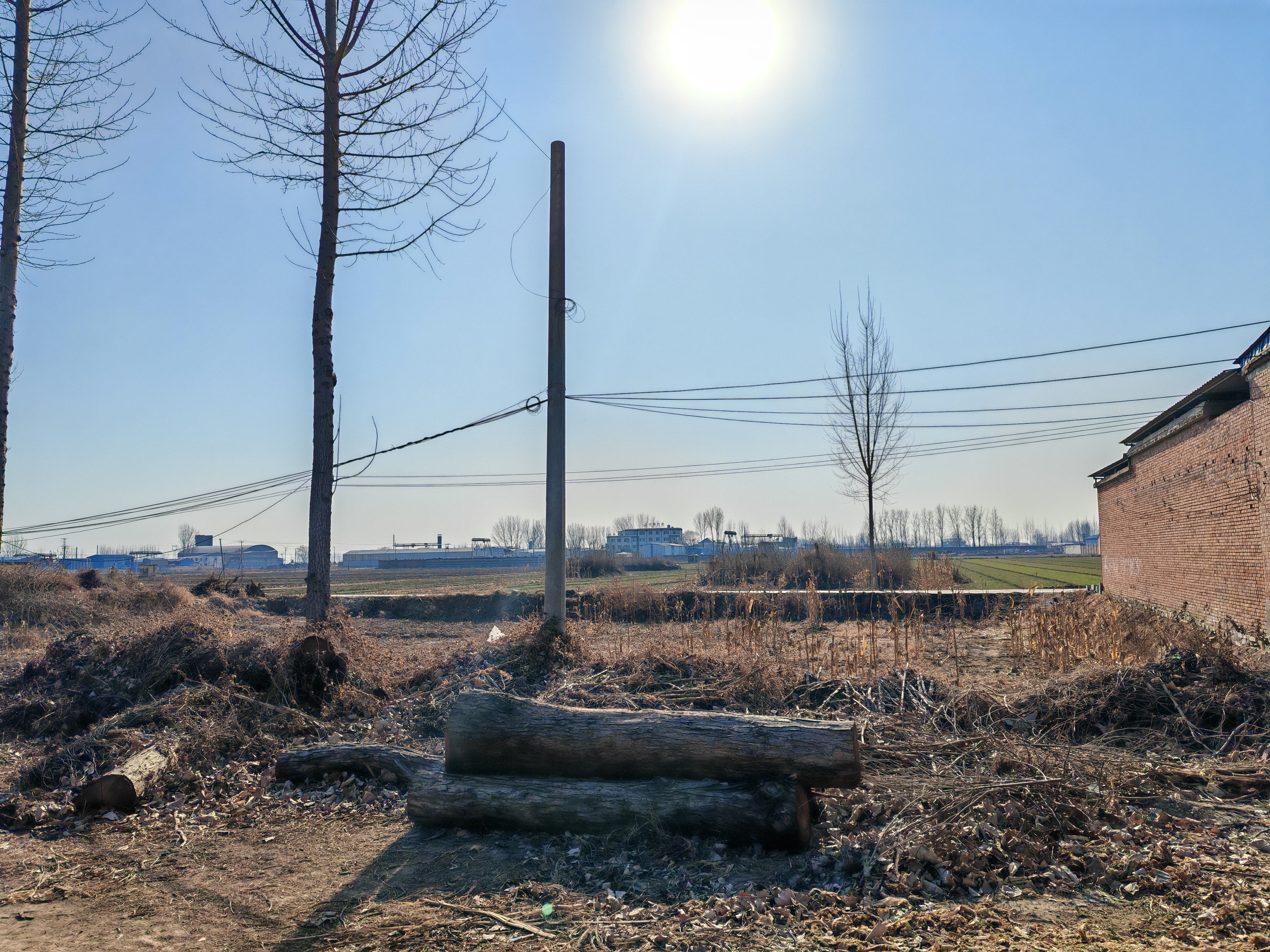 风暴眼丨直击河北农民取暖：“烧不起”的冬天(图5)