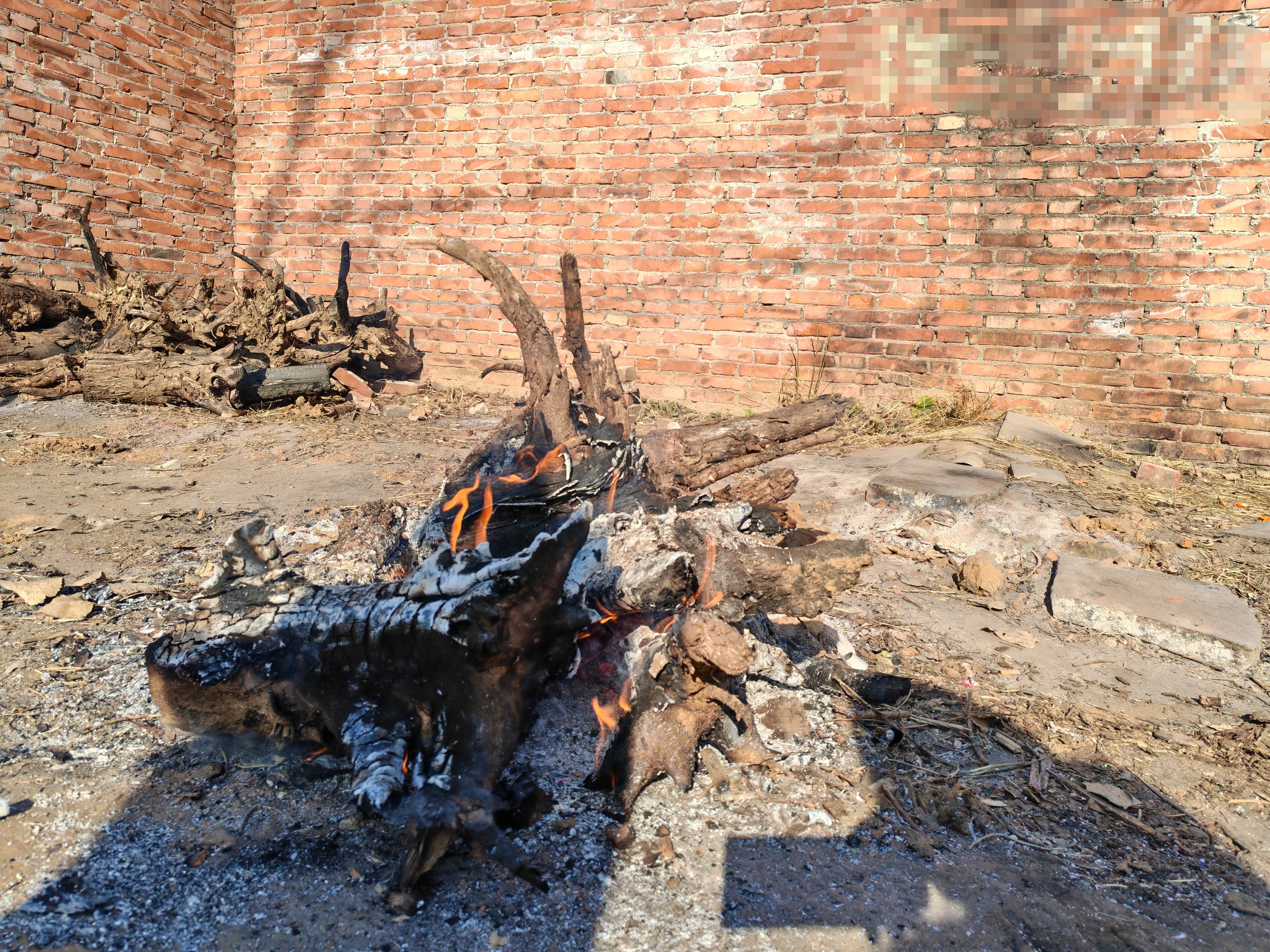 风暴眼丨直击河北农民取暖：“烧不起”的冬天(图3)