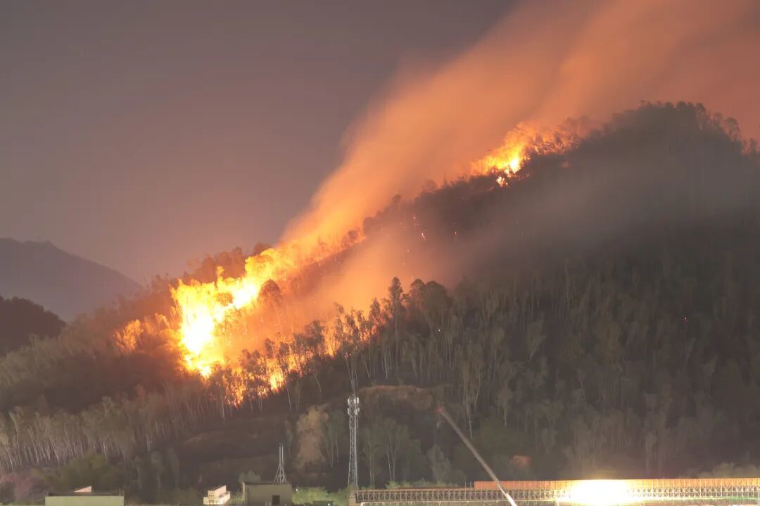 深圳发生山火，起火点位于深圳技术大学旁