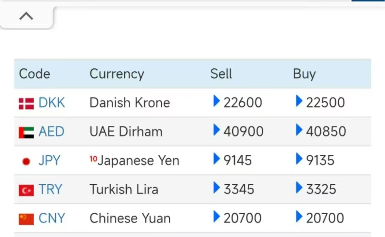 风暴眼丨那些在伊朗复杂政局里失联的人(图2)