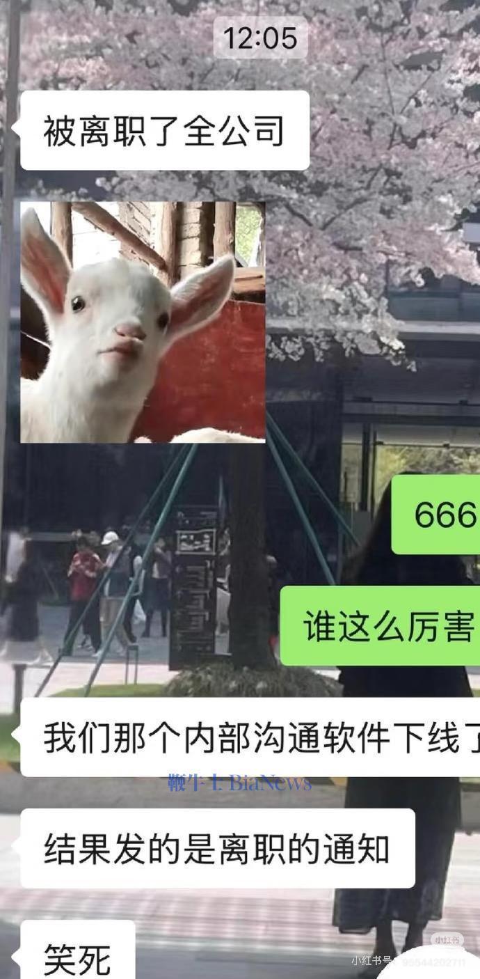 离谱！携程误发全员离职通知(图2)