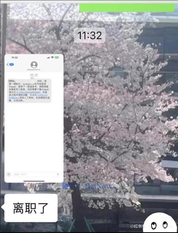 离谱！携程误发全员离职通知