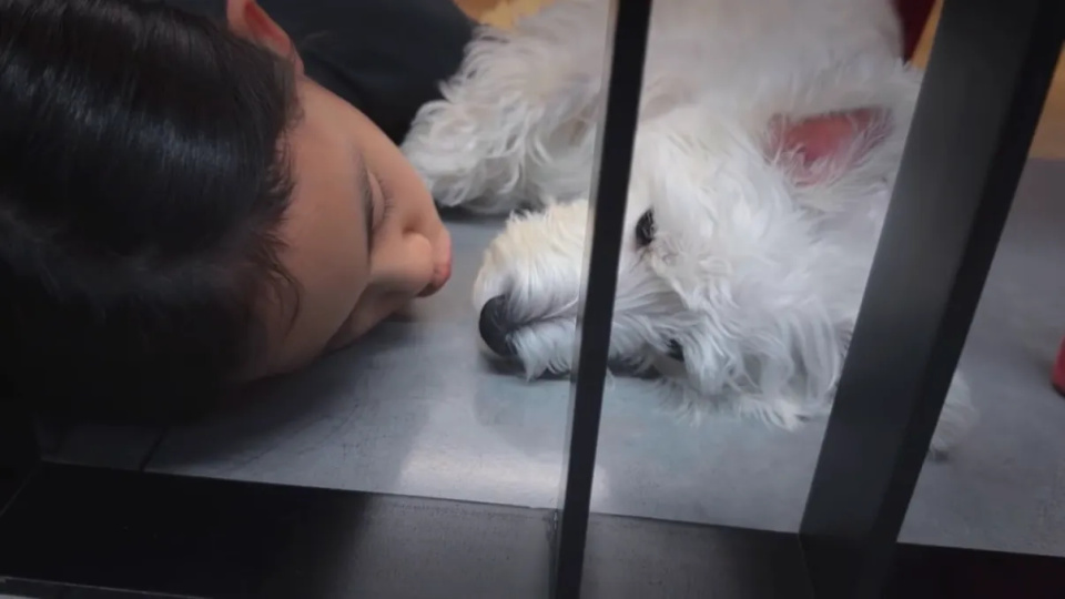 孙莉晒仨孩子日常，大女儿多多好漂亮，8岁儿子拉大提琴模样好帅(图5)