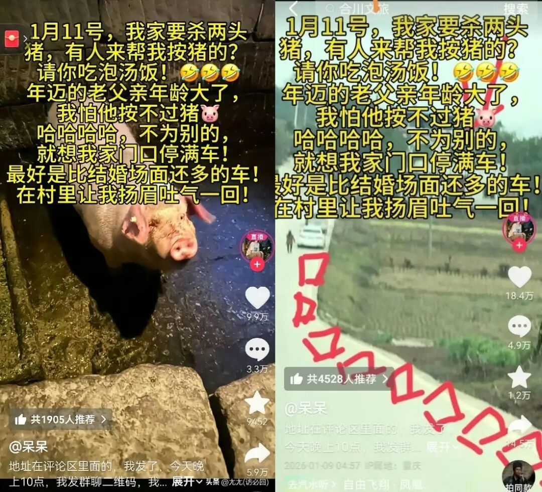 “2026年第一个闯大祸的人”，如何制造了“千人赴约杀猪宴”的网络狂欢(图2)