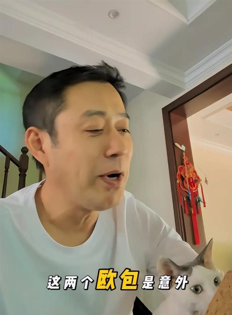 53岁刘钧现状：住北京郊区别墅，一直未婚与小猫作伴，自己做饭吃(图3)