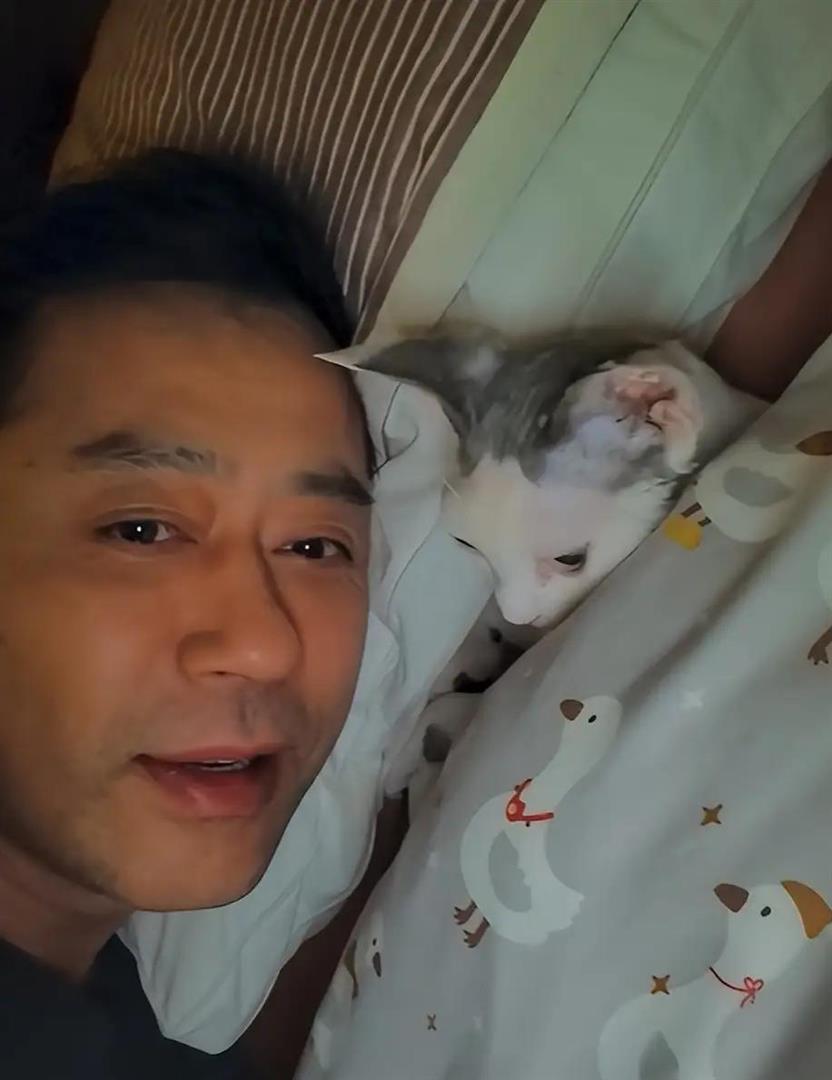 53岁刘钧现状：住北京郊区别墅，一直未婚与小猫作伴，自己做饭吃(图11)