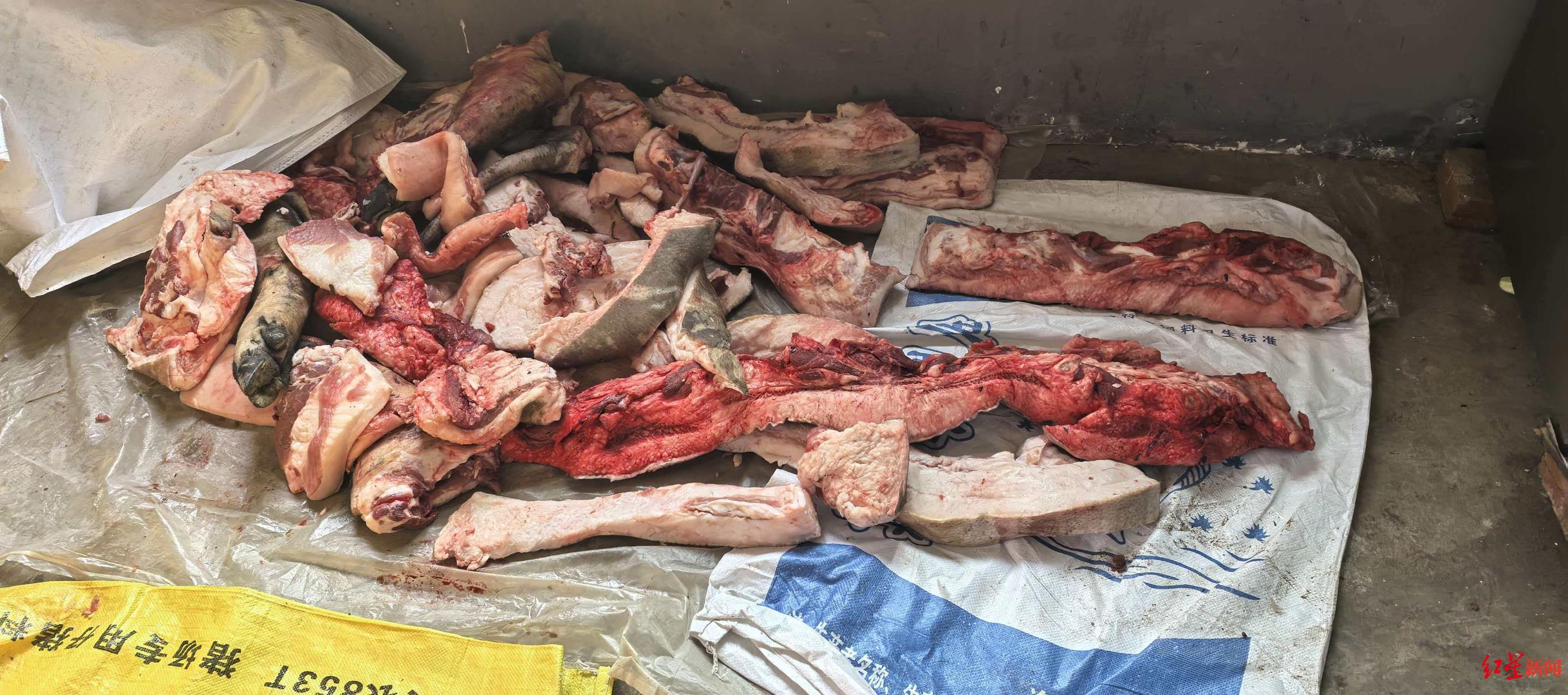 直击爆火“呆呆家杀猪宴”：最后一天还有人敲鼓送猪来，博主粉丝已破百万(图2)