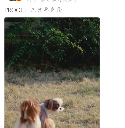 男演员身高多重要？看霍建华跟乔振宇就知道，再帅也扛不住同框(图1)