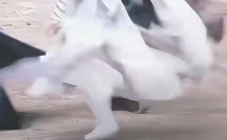 男演员身高多重要？看霍建华跟乔振宇就知道，再帅也扛不住同框(图17)