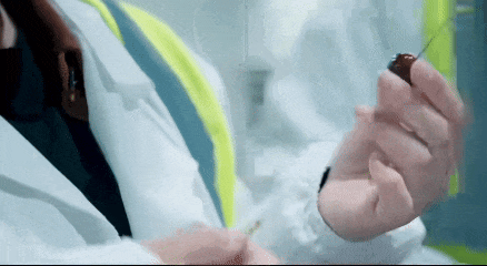 车厘子为什么用J表示大小？(图6)