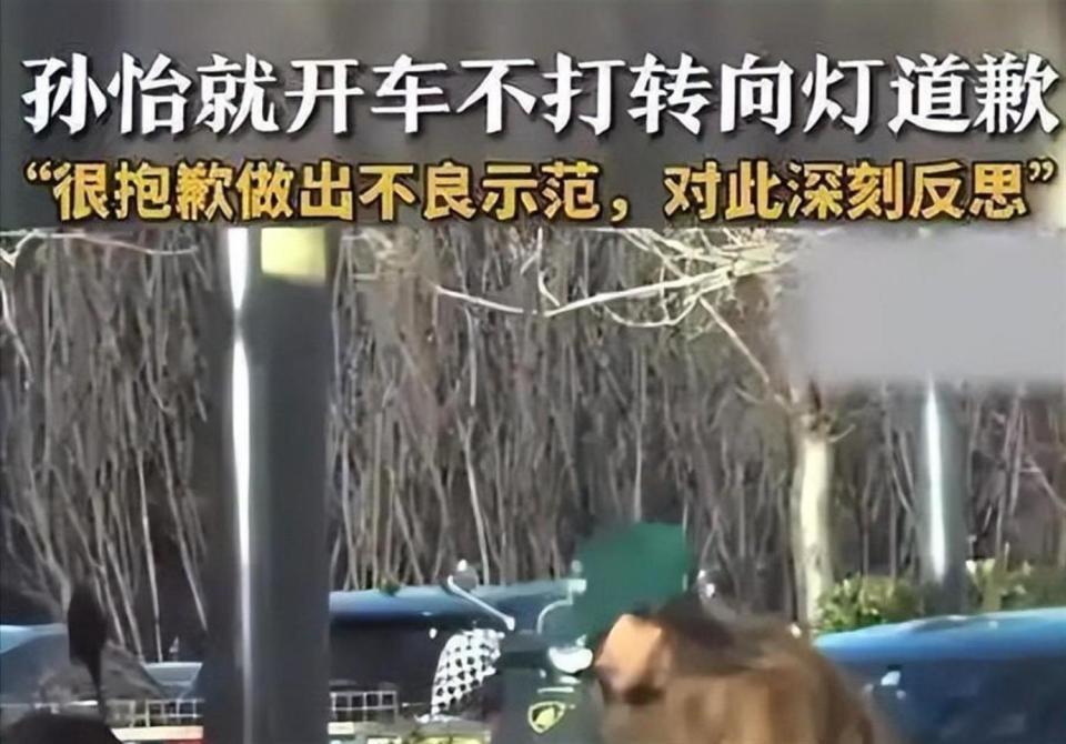 婚前出轨、顶流女星生子、自曝恋情，1月刚过半，娱乐圈又有新瓜(图8)