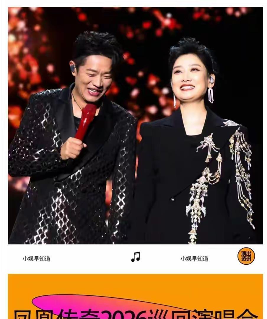 风波仅7个月，官媒高调官宣凤凰传奇喜讯，让王小玮和乐坛沉默了.(图2)