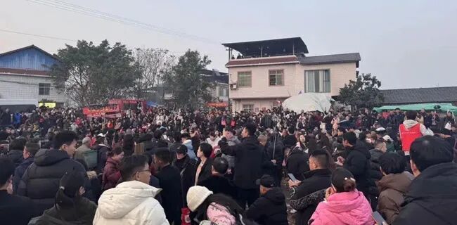 爆火的“刨猪宴”，背后是朴素的乡土情谊