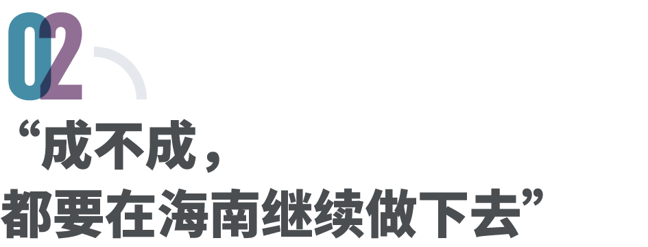 35岁创业者涌入海南，押注“下一个香港”(图5)