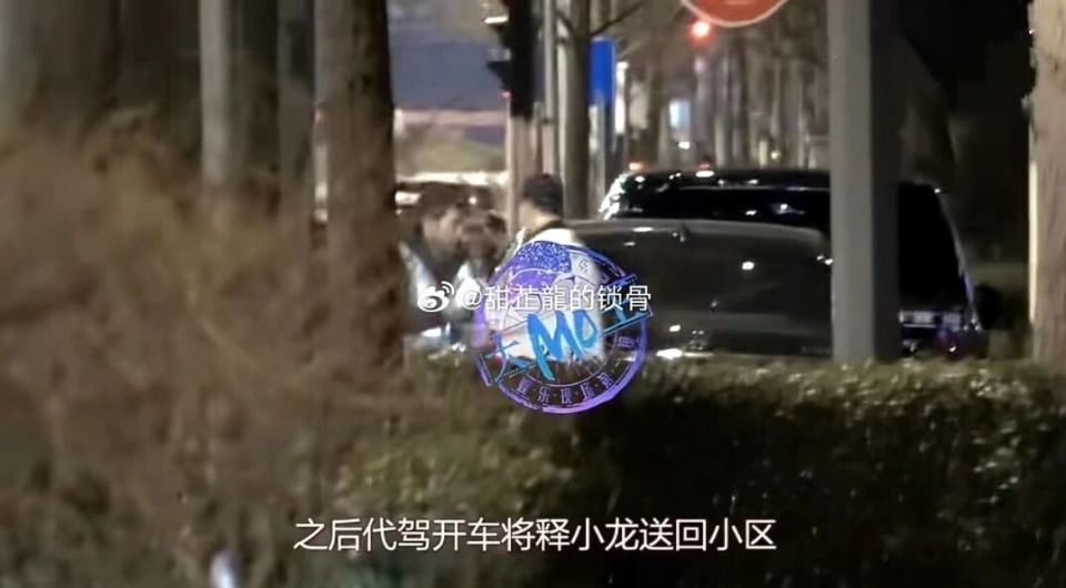 释小龙疑似酒驾引热议！叫了代驾却临门一脚，侥幸心理最致命(图4)