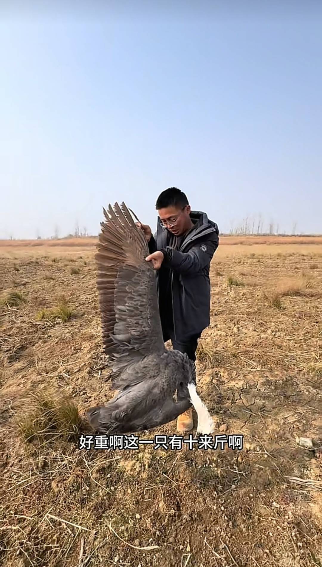 博主曝光鄱阳湖湿地被投毒：现场发现数十只鸟类尸体(图2)