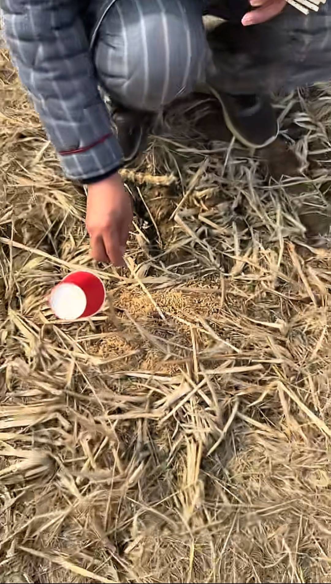 博主曝光鄱阳湖湿地被投毒：现场发现数十只