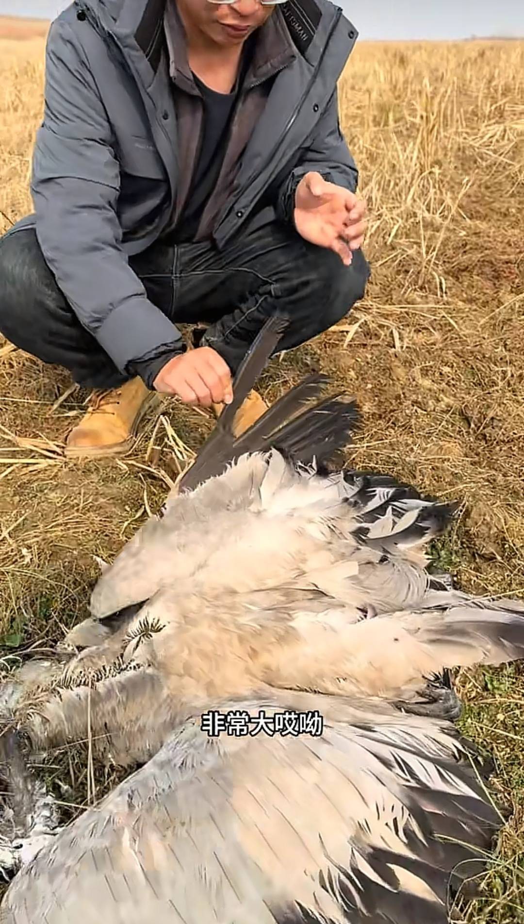 博主曝光鄱阳湖湿地被投毒：现场发现数十只鸟类尸体(图3)