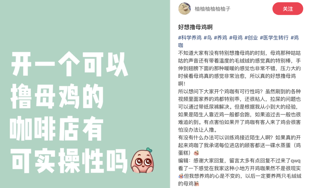 母鸡，咋成了异乡游子的第二个妈？(图3)