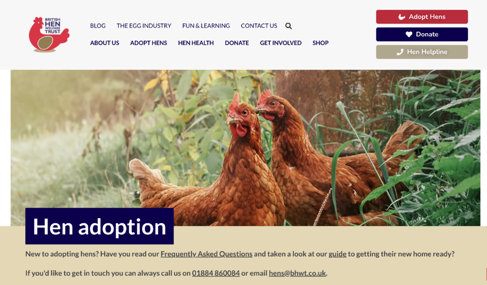 母鸡，咋成了异乡游子的第二个妈？(图8)