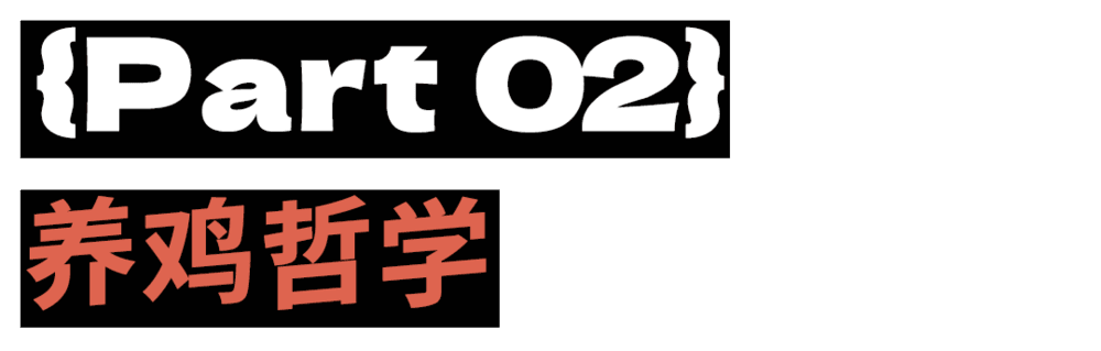 母鸡，咋成了异乡游子的第二个妈？(图9)