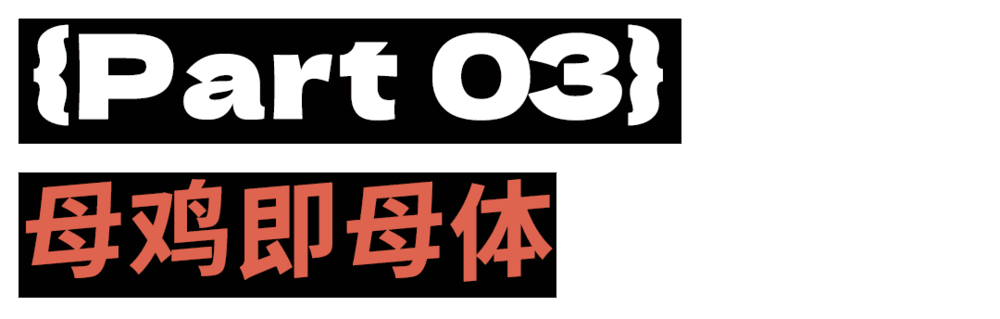 母鸡，咋成了异乡游子的第二个妈？(图14)
