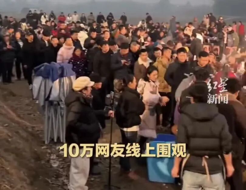 杀猪宴：翻车，早已注定(图4)