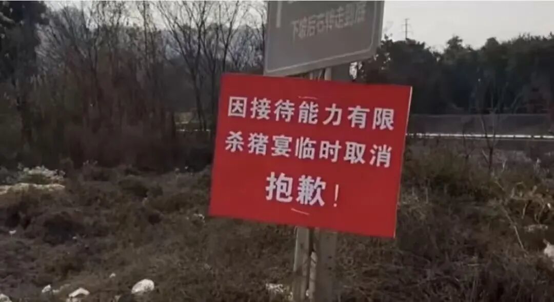 杀猪宴：翻车，早已注定(图9)