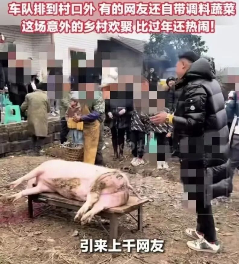 杀猪宴：翻车，早已注定(图12)