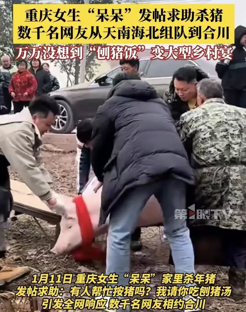 杀猪宴：翻车，早已注定(图8)