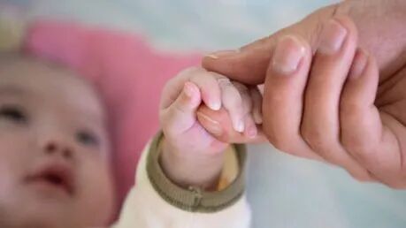 全国每9个新生儿就有1个在广东(图1)