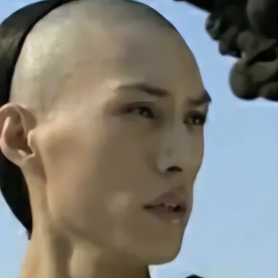 美貌的天敌不是发福而是发腮！从林青霞到刘亦菲都因发腮颜值暴跌(图52)