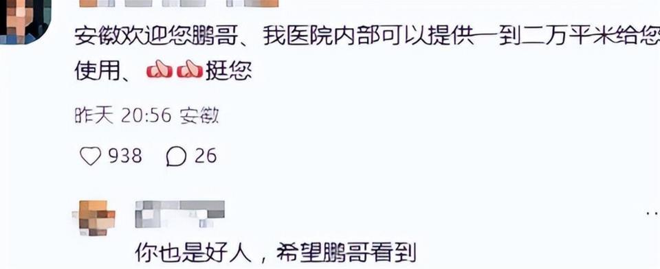 王菲没想到，公开求助哽咽落泪的李亚鹏，2天收1291万被网友力挺(图8)