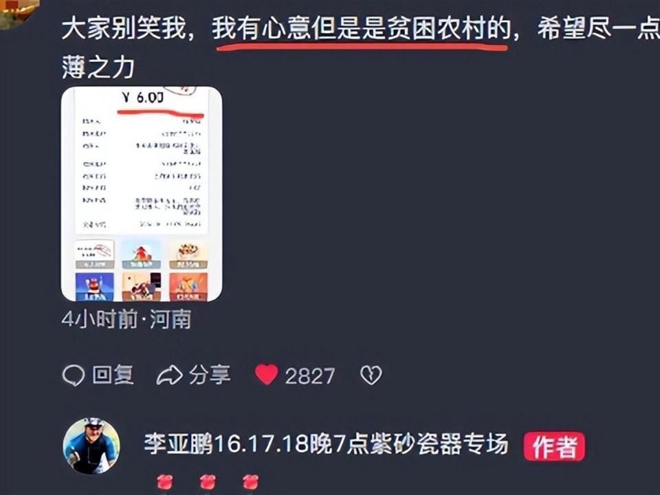 王菲没想到，公开求助哽咽落泪的李亚鹏，2天收1291万被网友力挺(图11)
