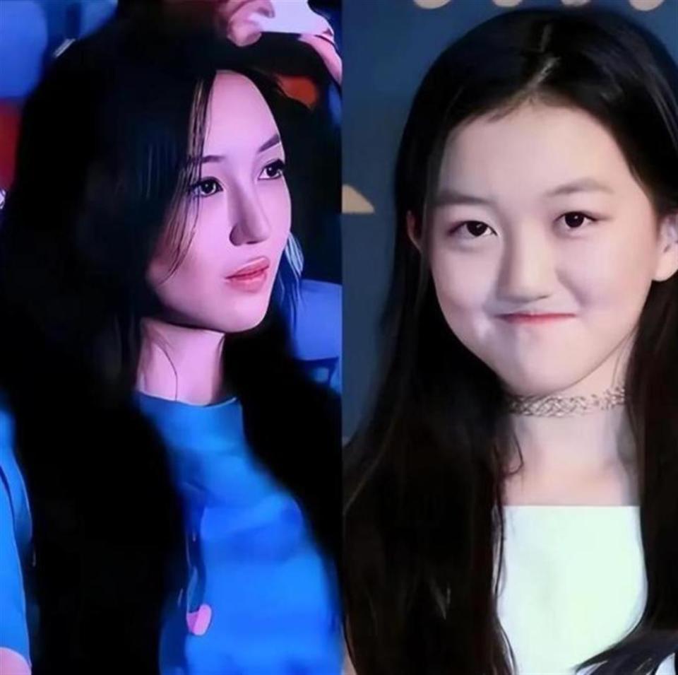 王菲没想到，公开求助哽咽落泪的李亚鹏，2天收1291万被网友力挺(图18)