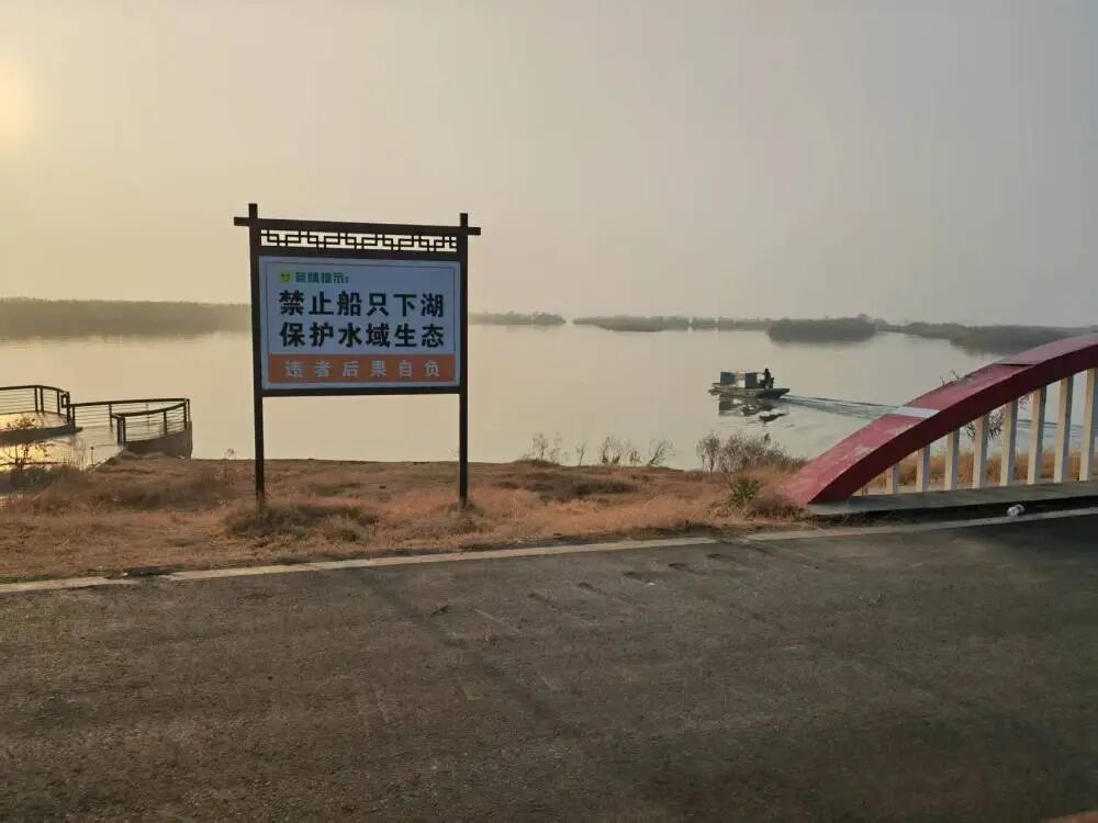 洪泽湖骆马湖非法捕捞调查：一夜偷捕获利数千元(图1)