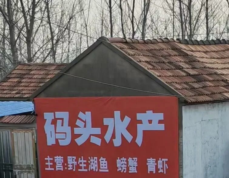 洪泽湖骆马湖非法捕捞调查：一夜偷捕获利数千元(图2)