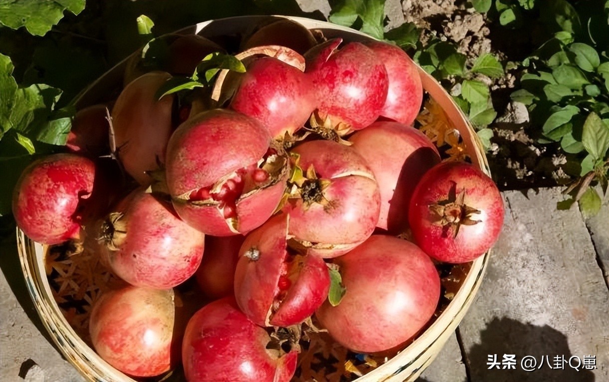 36岁最惨超女现状曝光，已生子，住5㎡三室一厅，被300万人羡慕(图14)