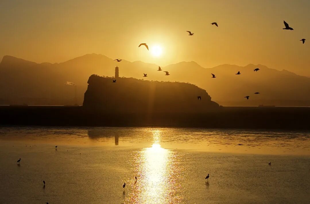 上百只鸟被毒杀，鄱阳湖发生了什么(图9)