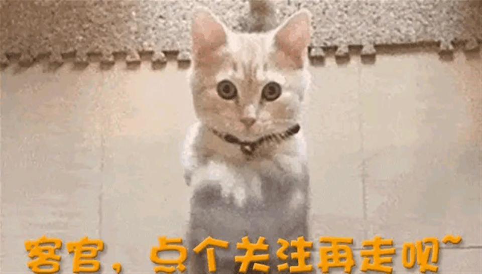 田朴珺底裤被扒？一边喊 不靠男人，一边靠王石光环割韭菜(图14)