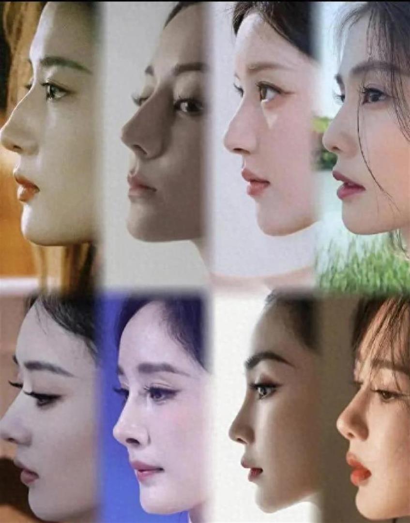 这么多女明星好看的鼻子，董洁一出现，全部黯然失色(图1)