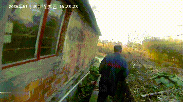 七旬老伯摘菜时，救了一条命！