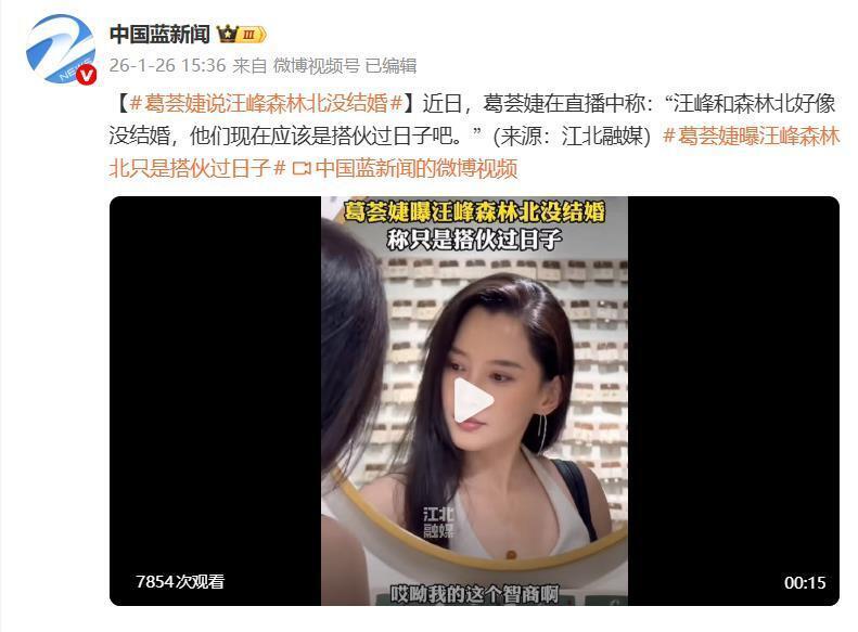 葛荟婕回应汪峰和森林北目前恋爱状态：好像还没有结婚，应该是搭伙过日子(图1)